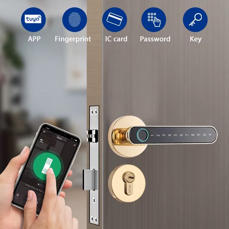 Tuya biometrische vingerafdruk - Letter Opener Brass recensie en prijs