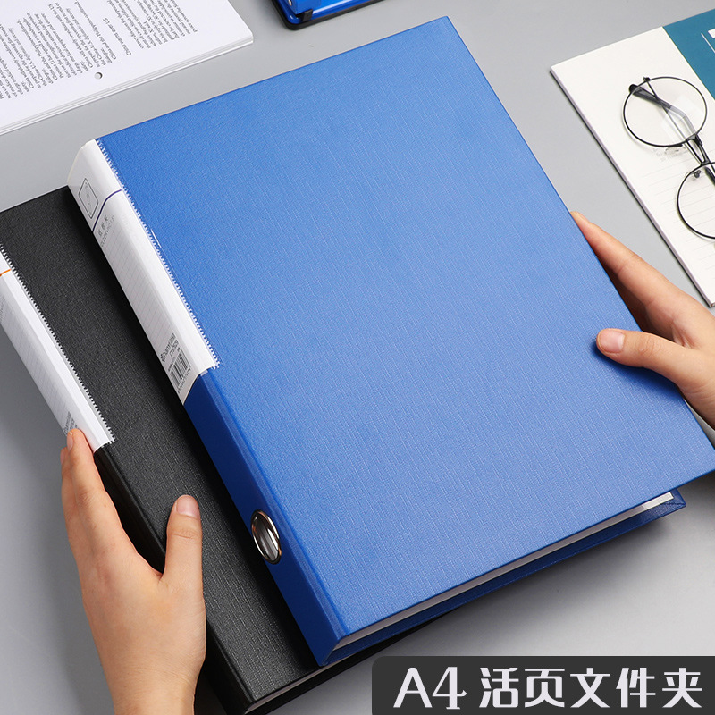 2/3 Gat A4 Ring Binder Bestand - Binder A4 Lever recensie en prijs